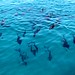 blue water YTRYUIUuuuuu