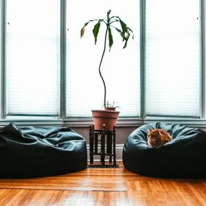 Black Beanbag testing