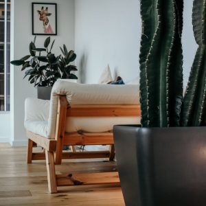 Cream Sofa testing