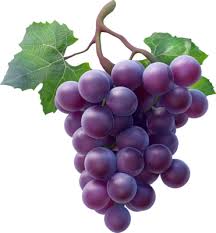 Grapesss