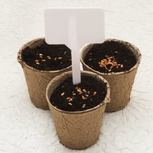 Biodegradable cardboard pots testing
