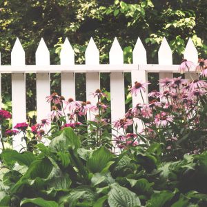 Wooden Fence